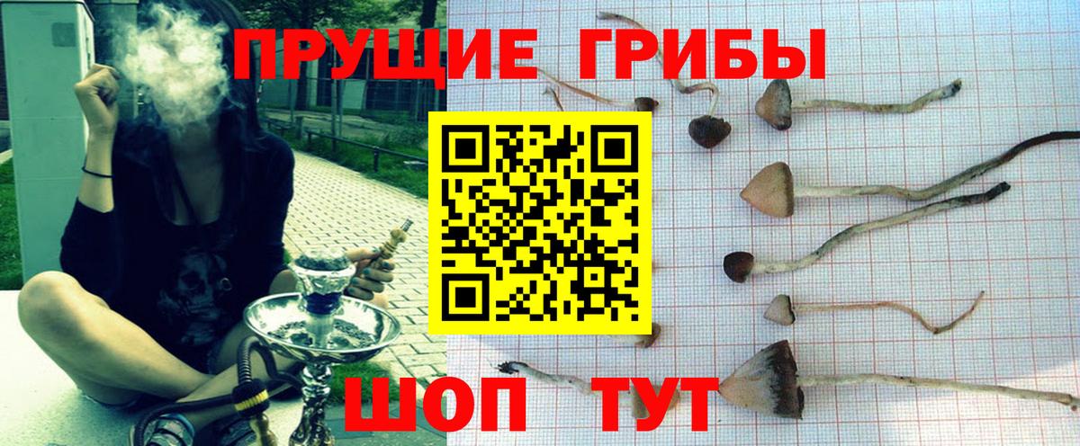 Красноуфимск  Псилоцибиновые грибы GOLDEN TEACHER  Вход с VPN 